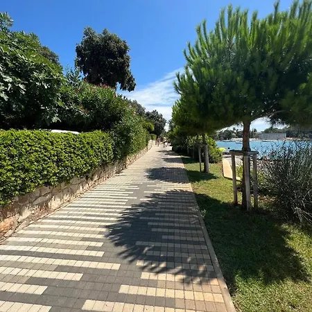 Vila Salteria 3, Pool, Private Territory, Pinery Rovinj