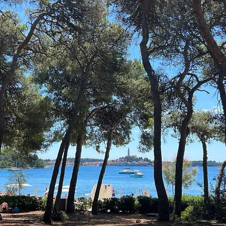 Vila Salteria 3, Pool, Private Territory, Pinery Rovinj