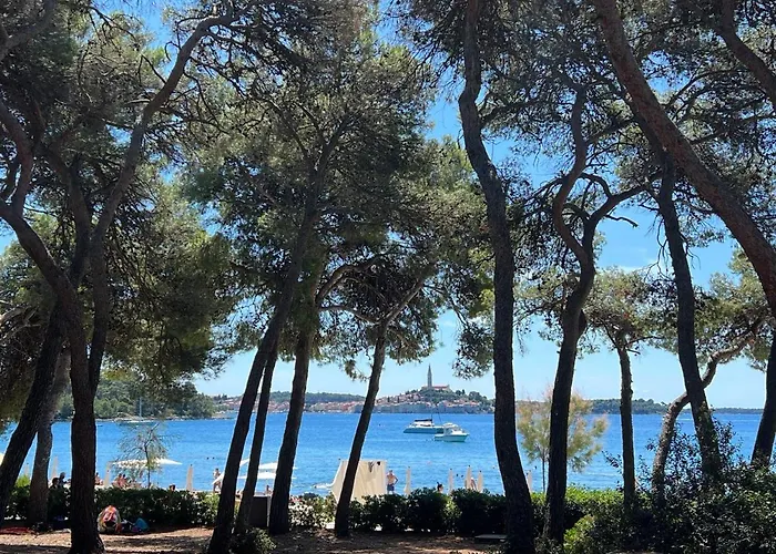 וילה Salteria 3, Pool, Private Territory, Pinery רוביני